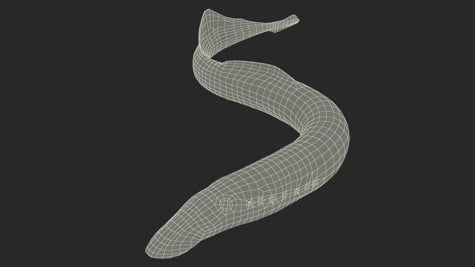 Lamprey Motion pose 3D model