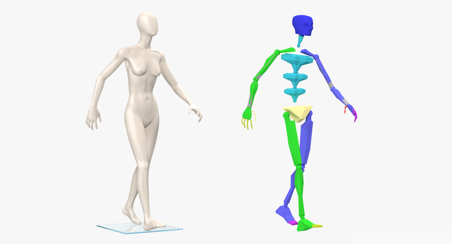 3D Female Mannequin Rigged model