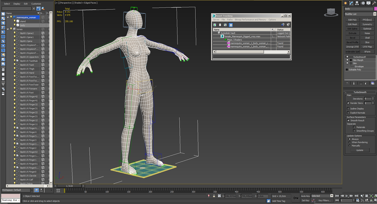 3D Female Mannequin Rigged model