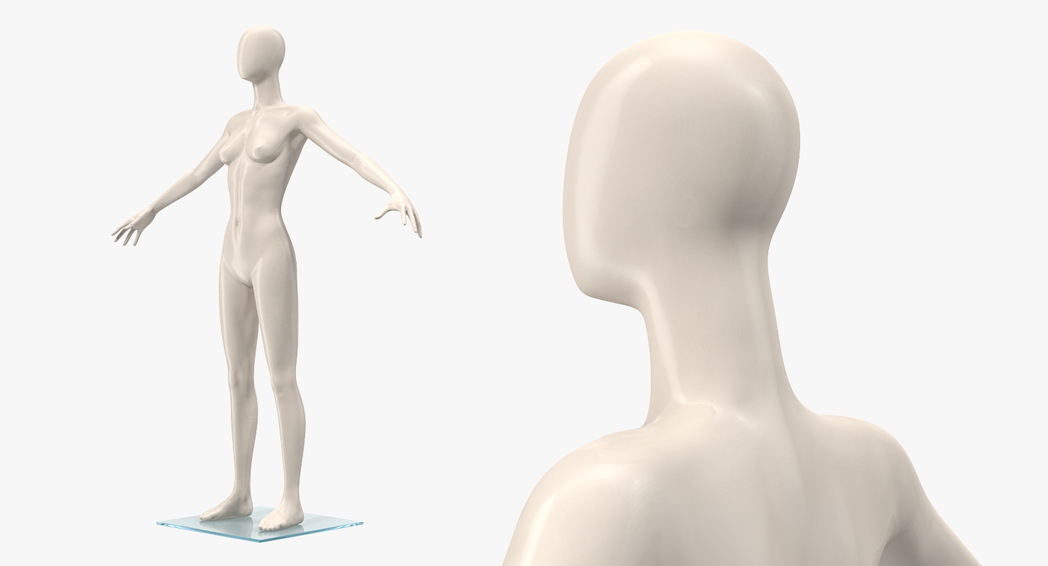 3D Female Mannequin Rigged model