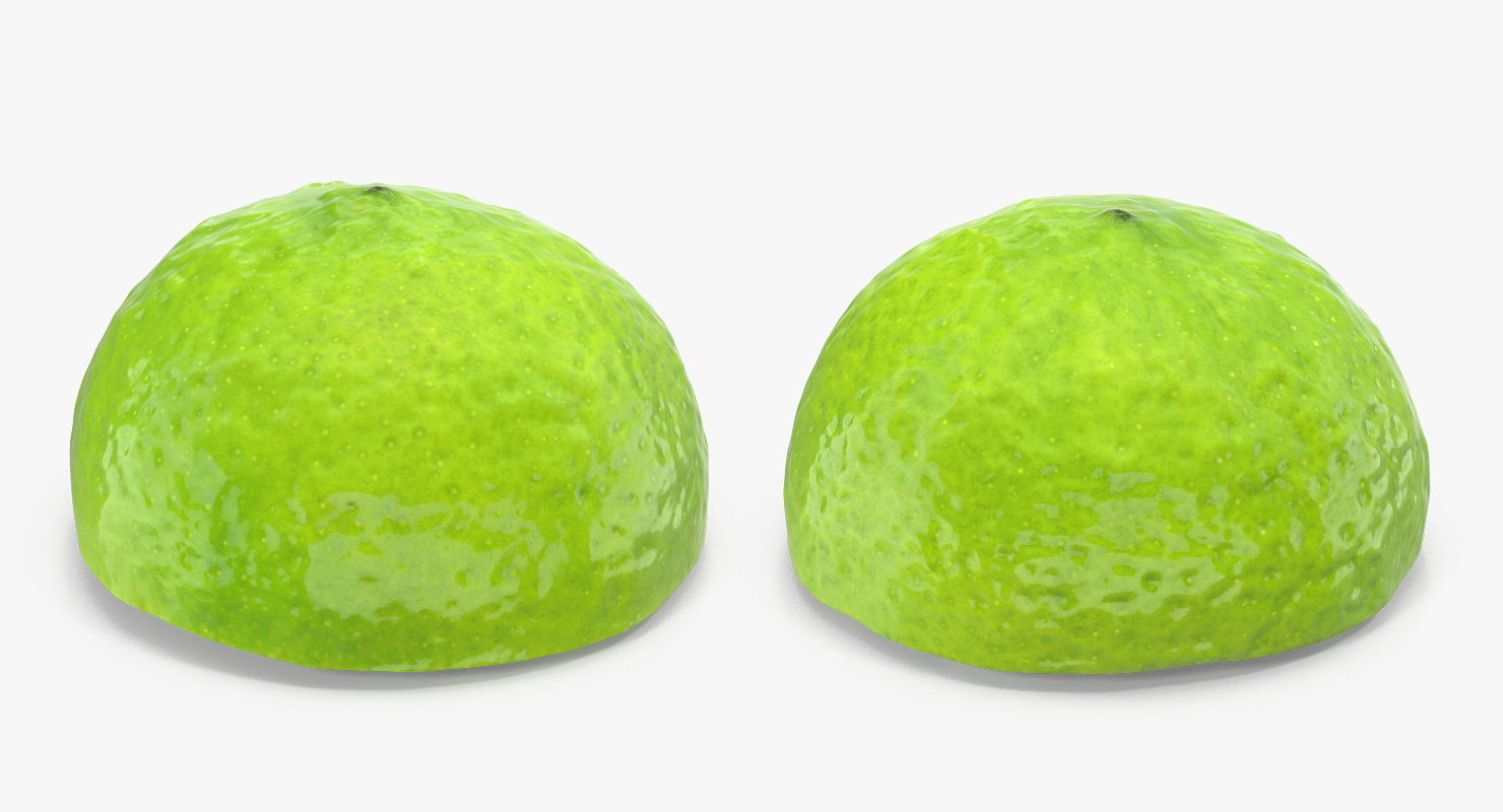 Half Lime 3D model
