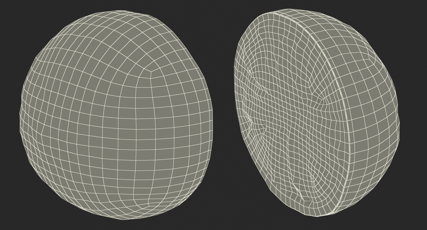 Half Lime 3D model
