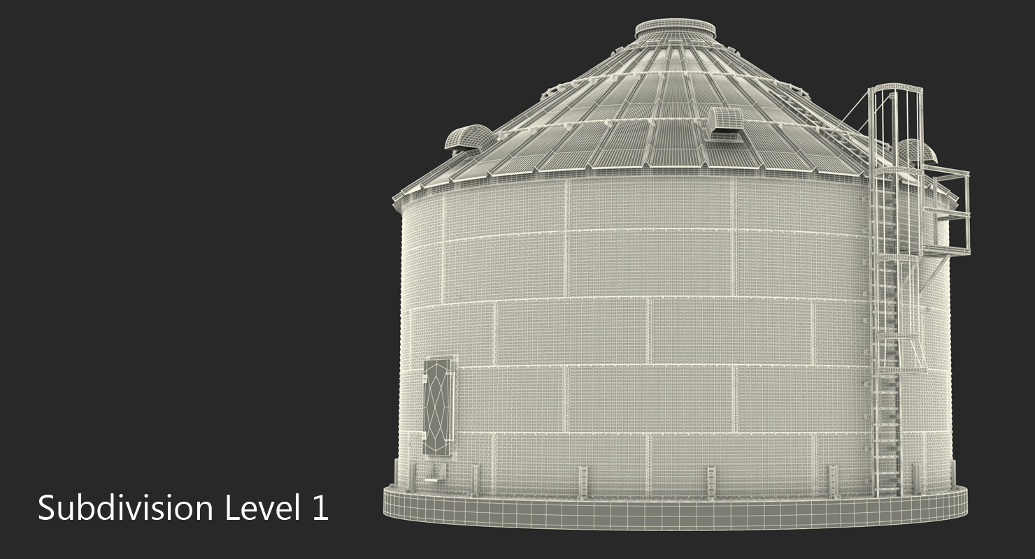 3D Systems for Grain Storage Generic model