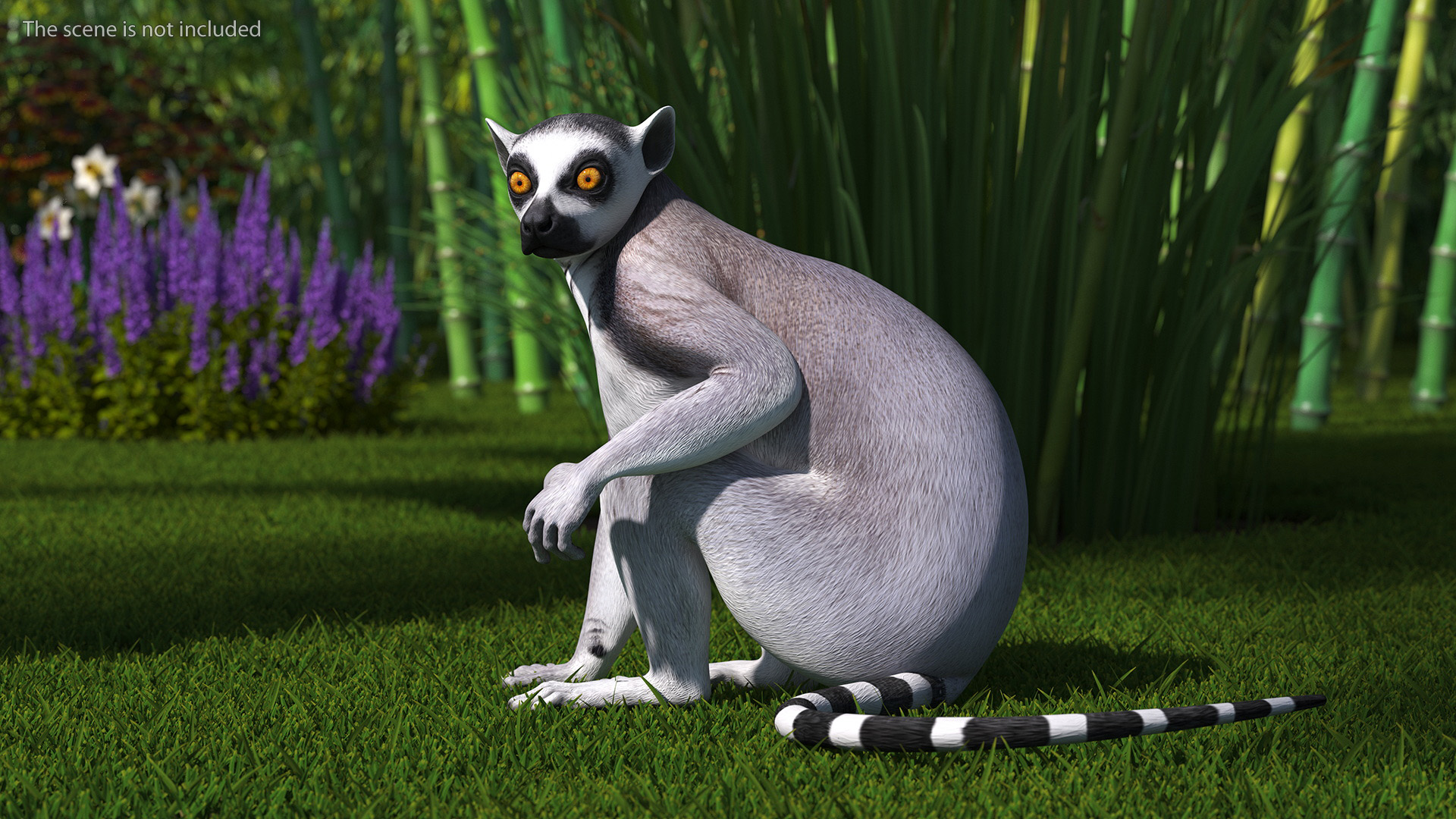 3D model Ring-tailed Lemur Sitting