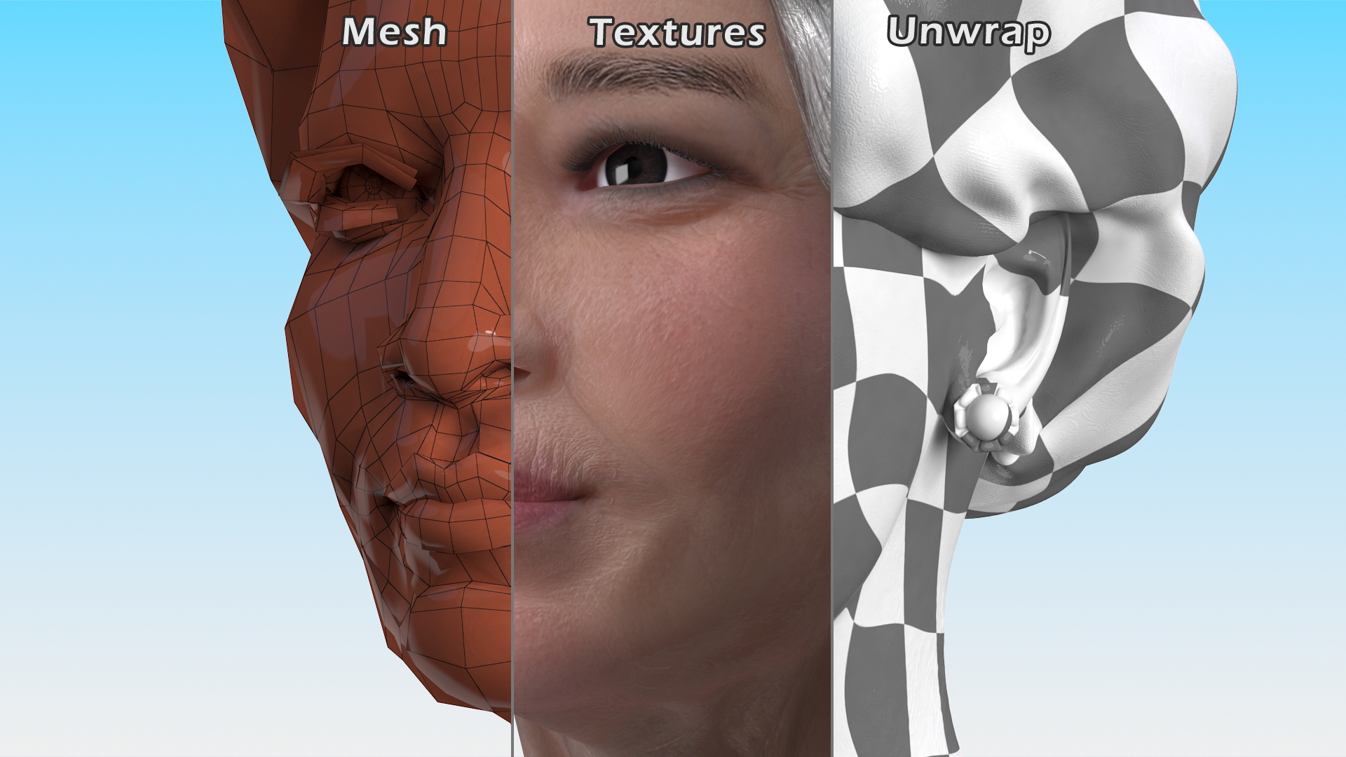 3D Asian Grandma Head model
