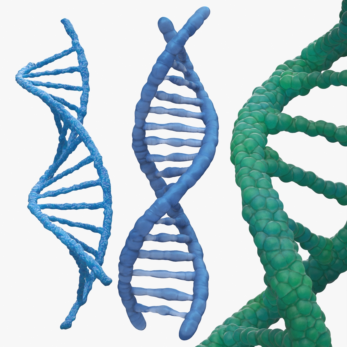 DNA Double Helix Structure Models Blue