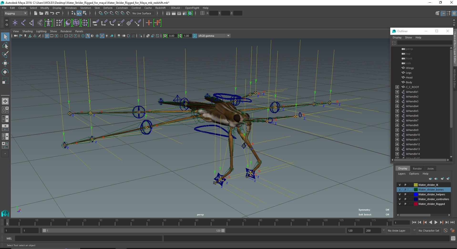 Water Strider Rigged for Maya 3D model