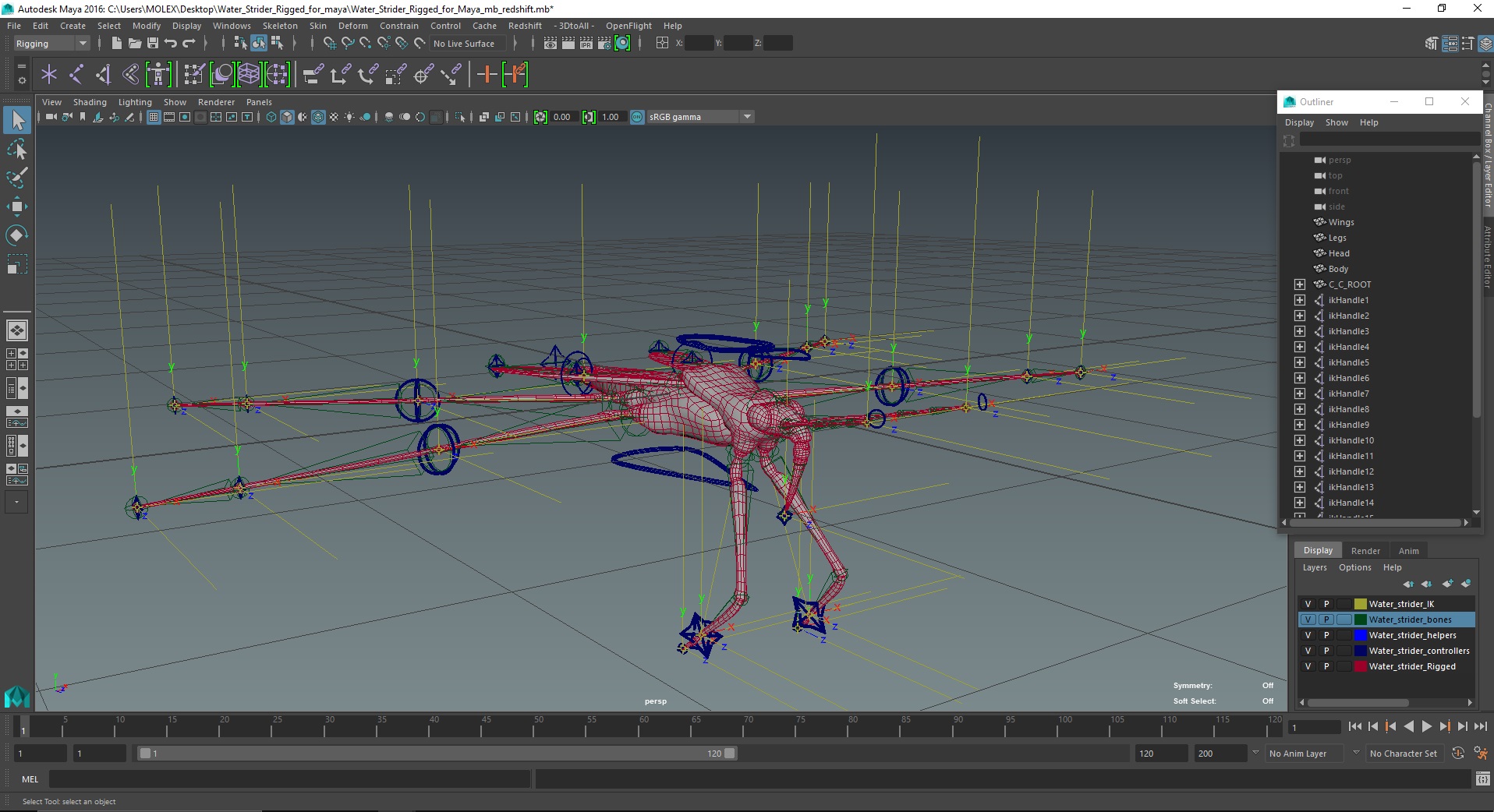Water Strider Rigged for Maya 3D model