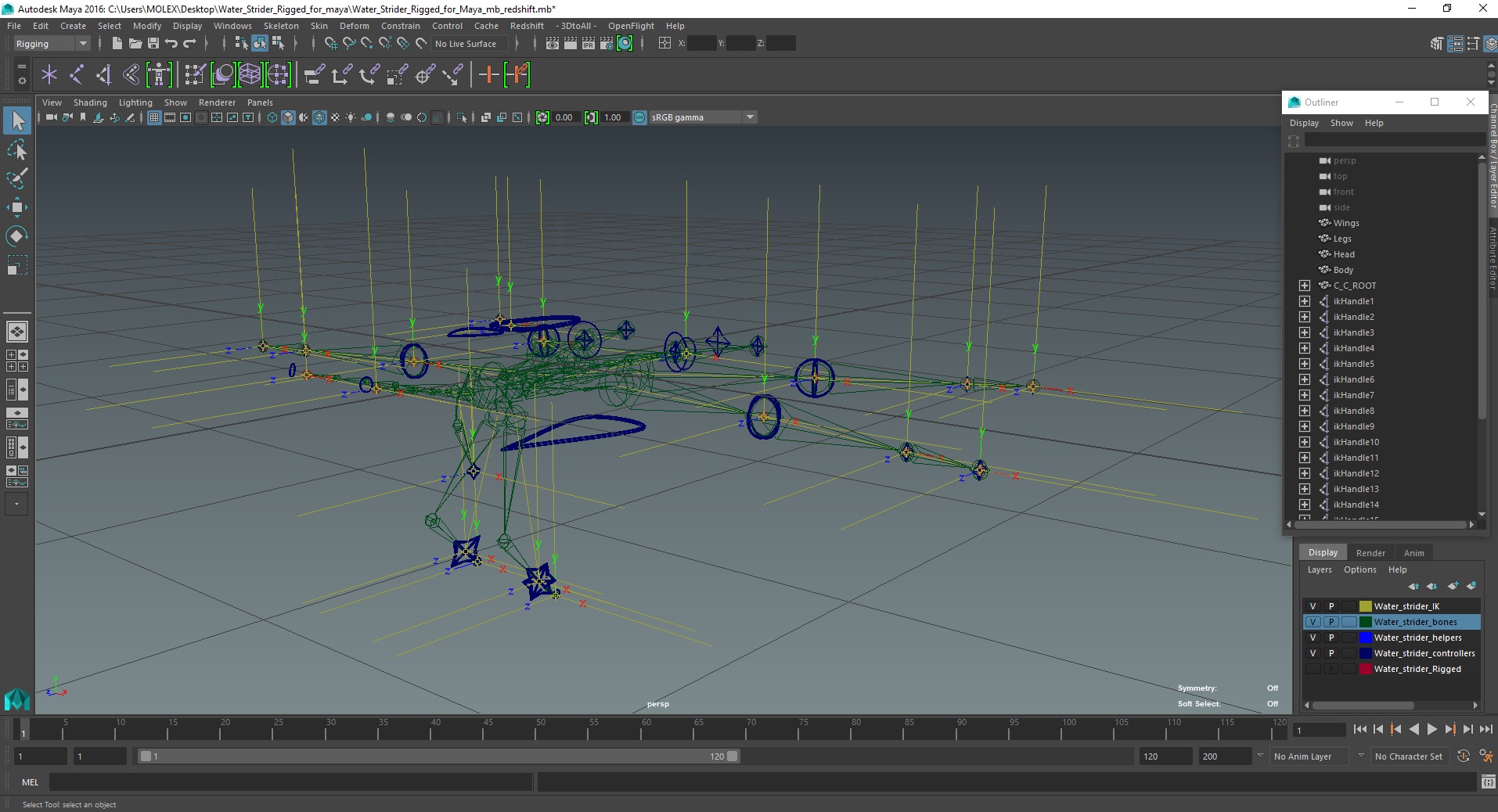 Water Strider Rigged for Maya 3D model