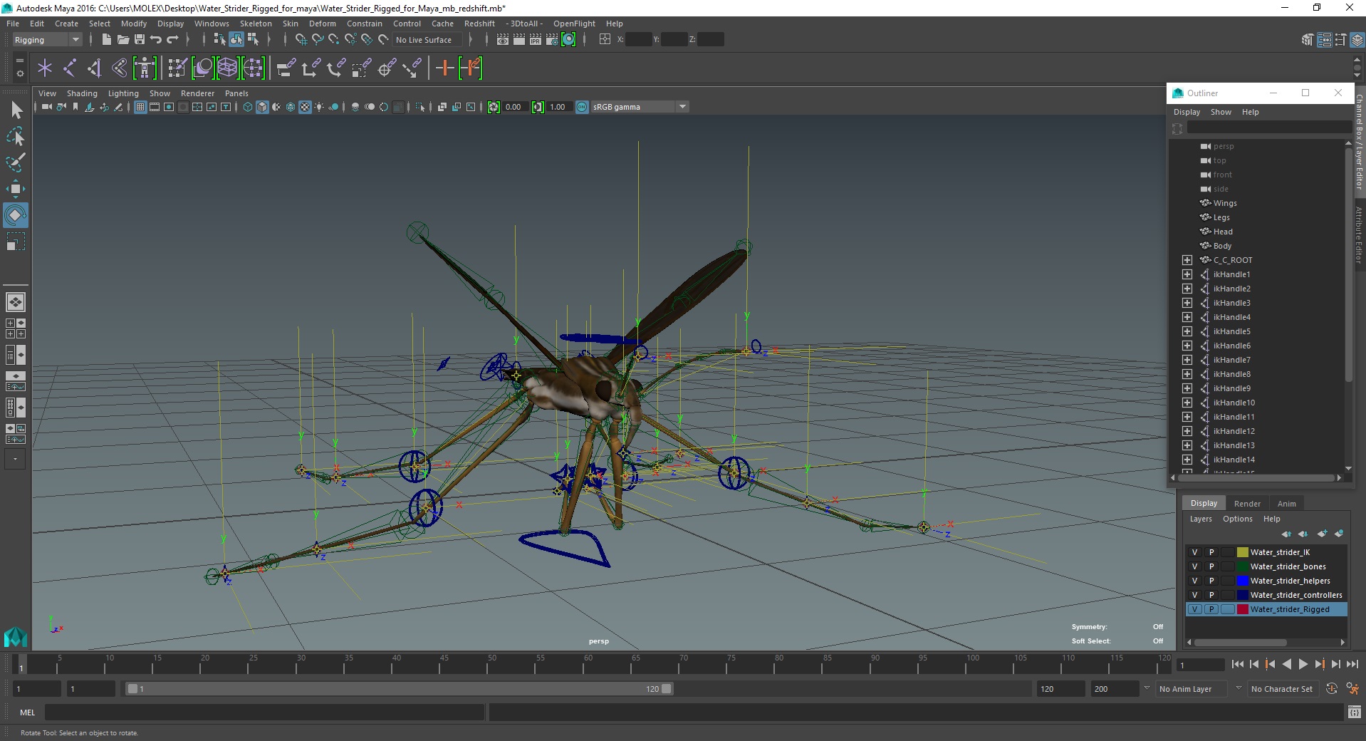 Water Strider Rigged for Maya 3D model