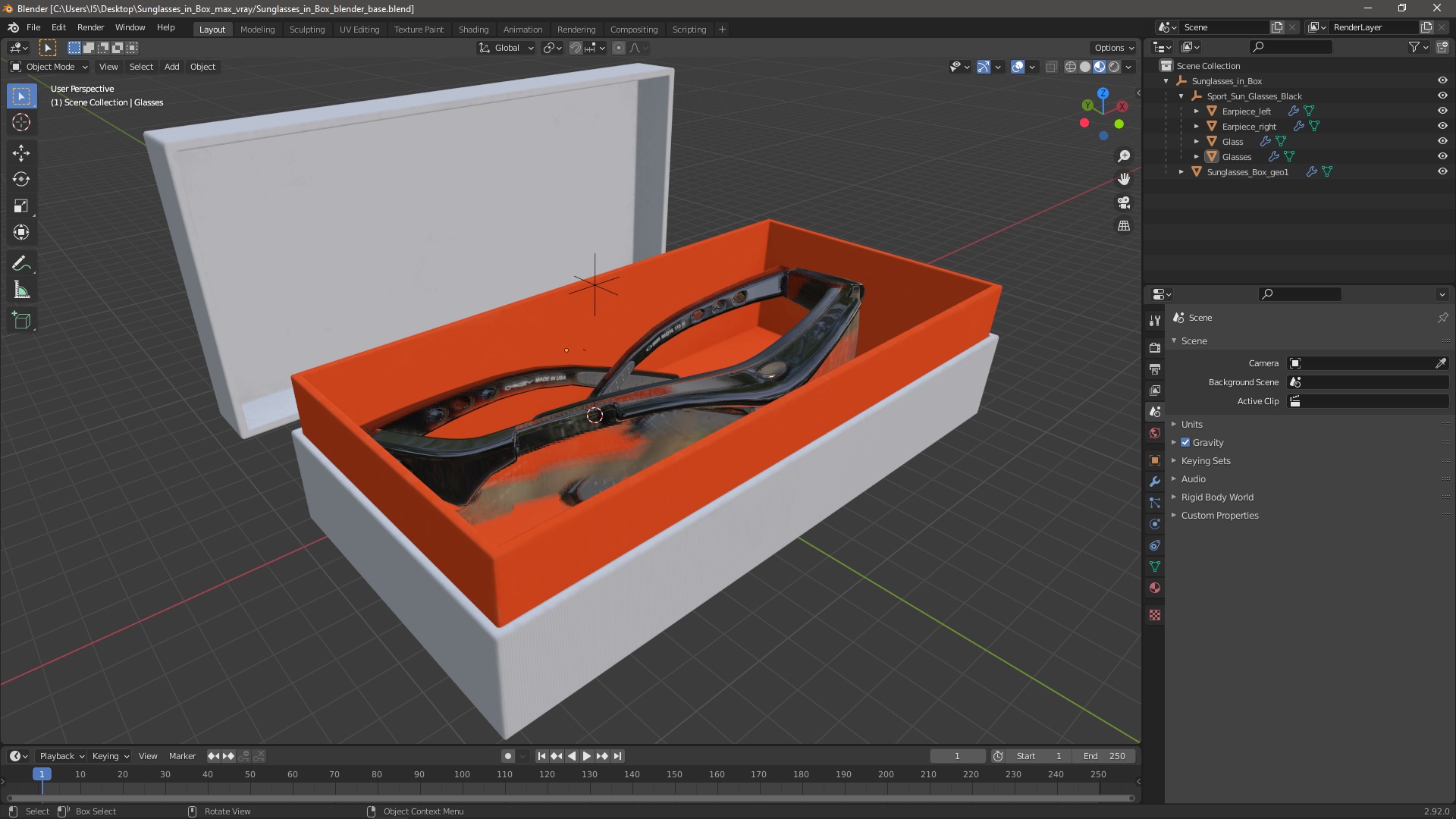 Sunglasses in Box 3D