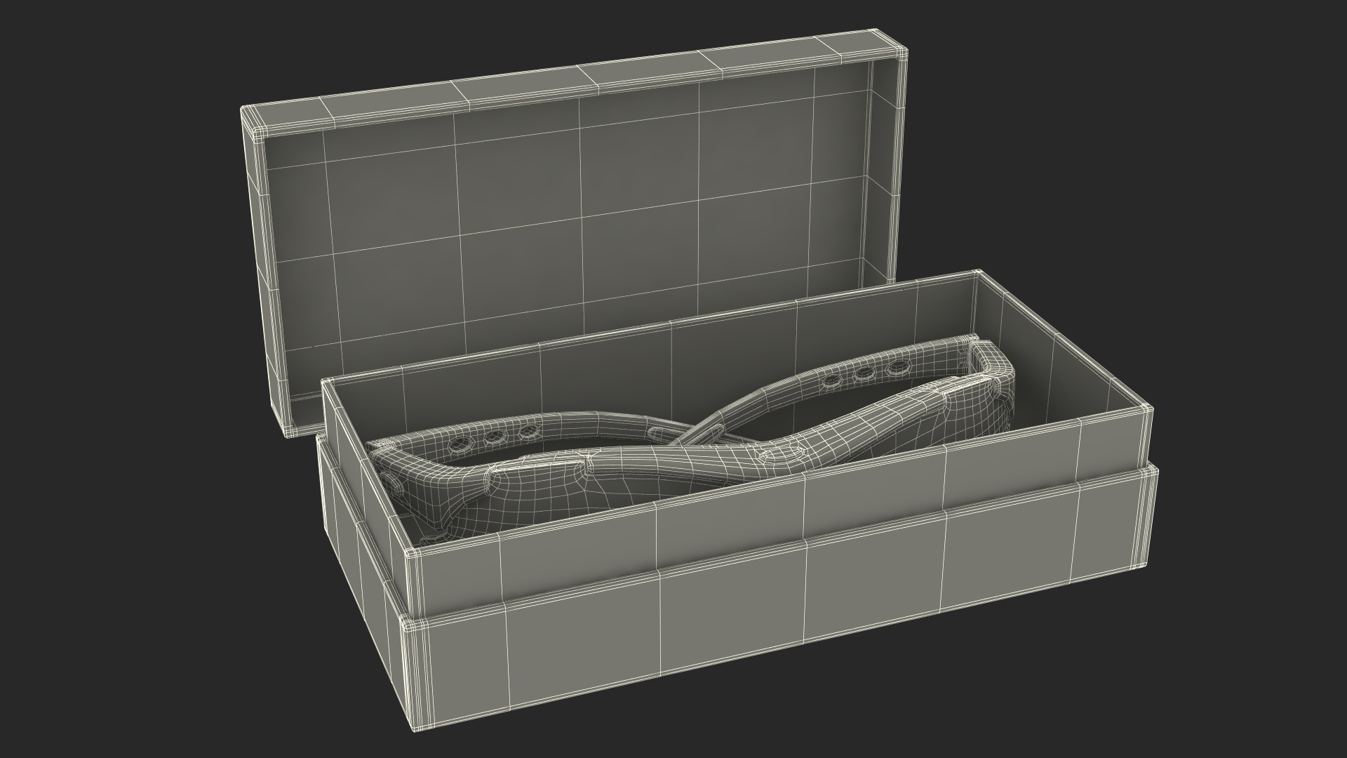 Sunglasses in Box 3D