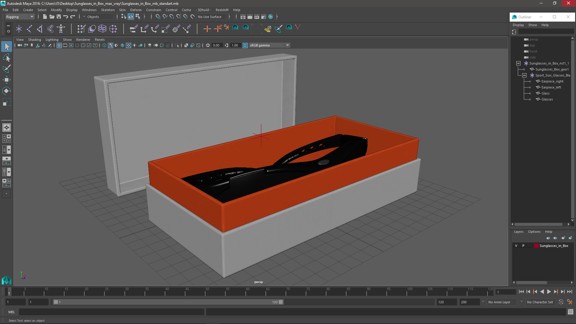 Sunglasses in Box 3D