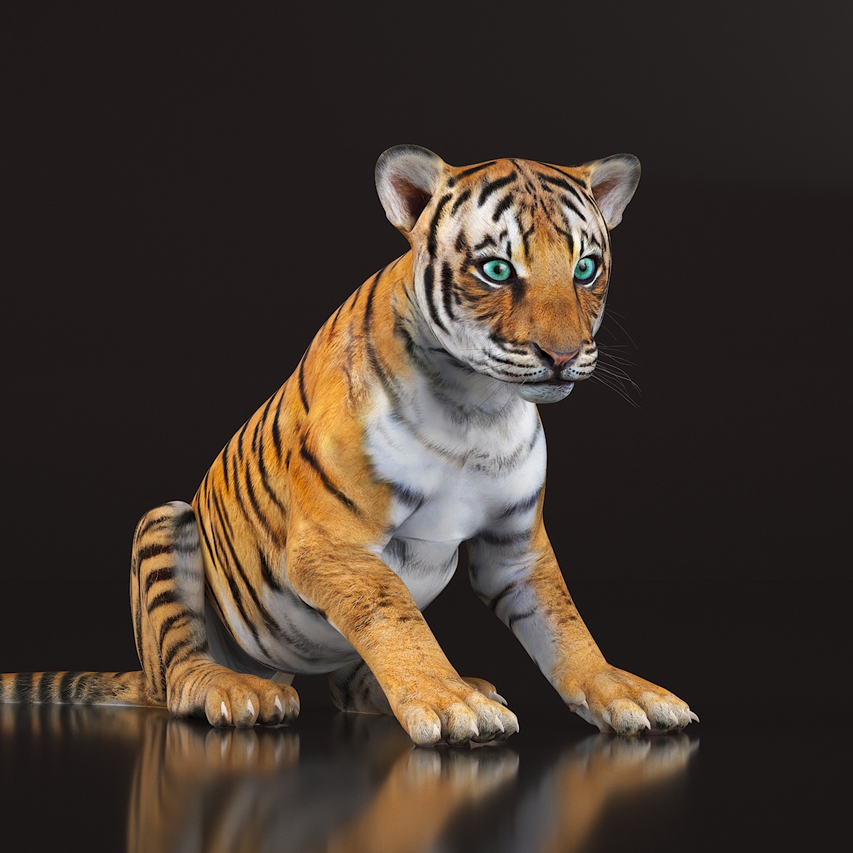 3D Tiger Cub Rigged