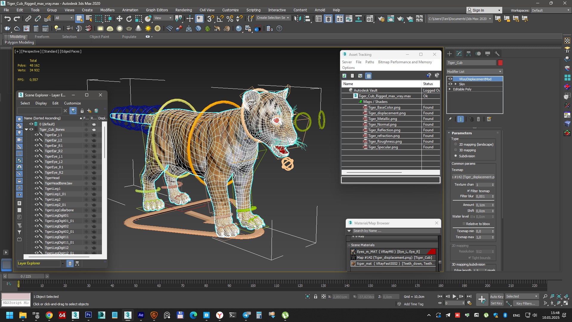 3D Tiger Cub Rigged