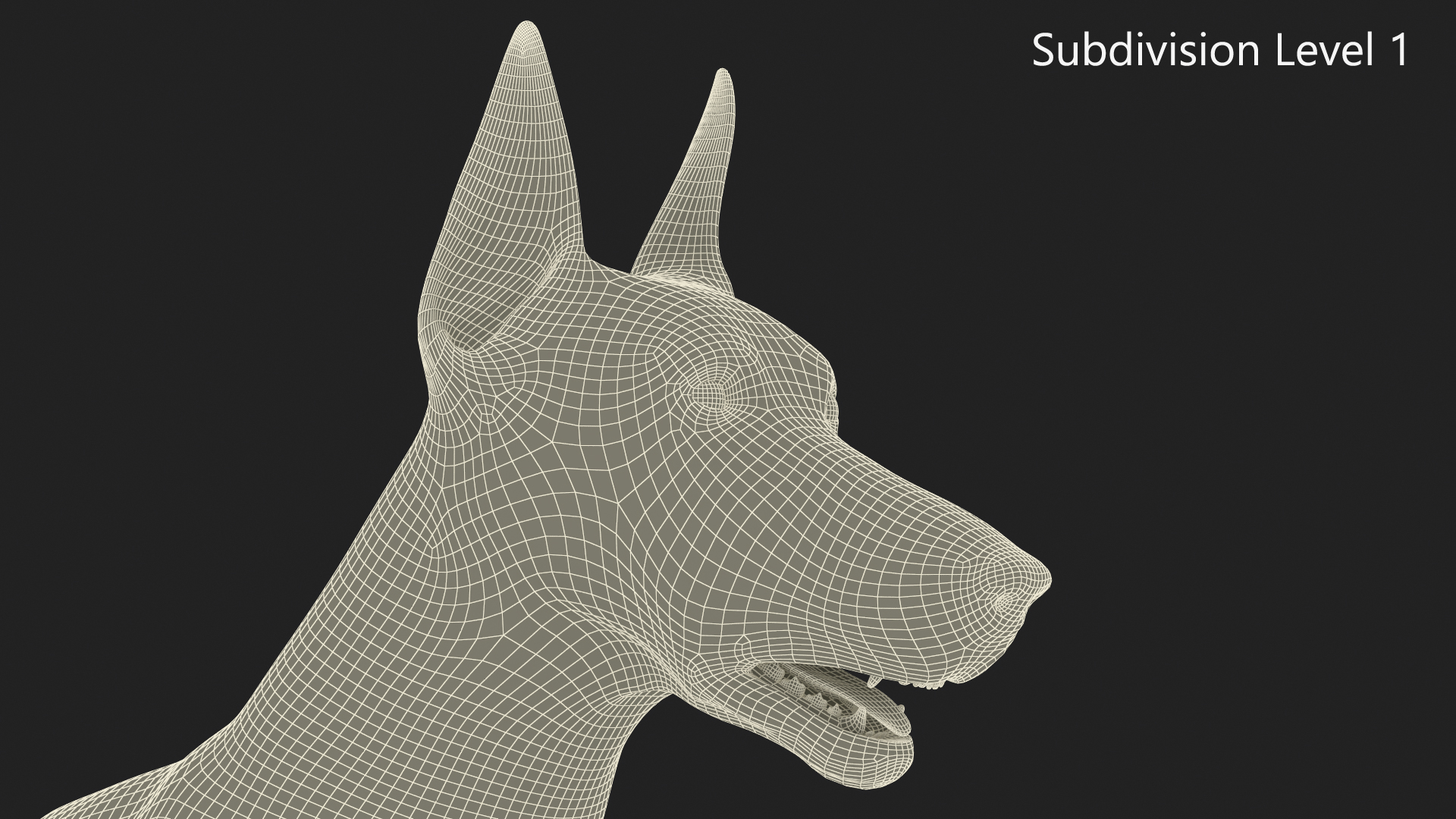 Doberman Pinscher Dog Rigged for Cinema 4D 3D