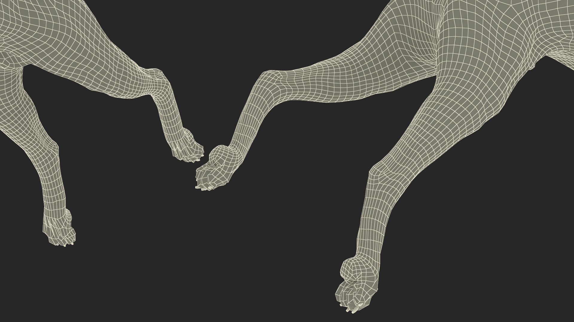 Doberman Pinscher Dog Rigged for Cinema 4D 3D