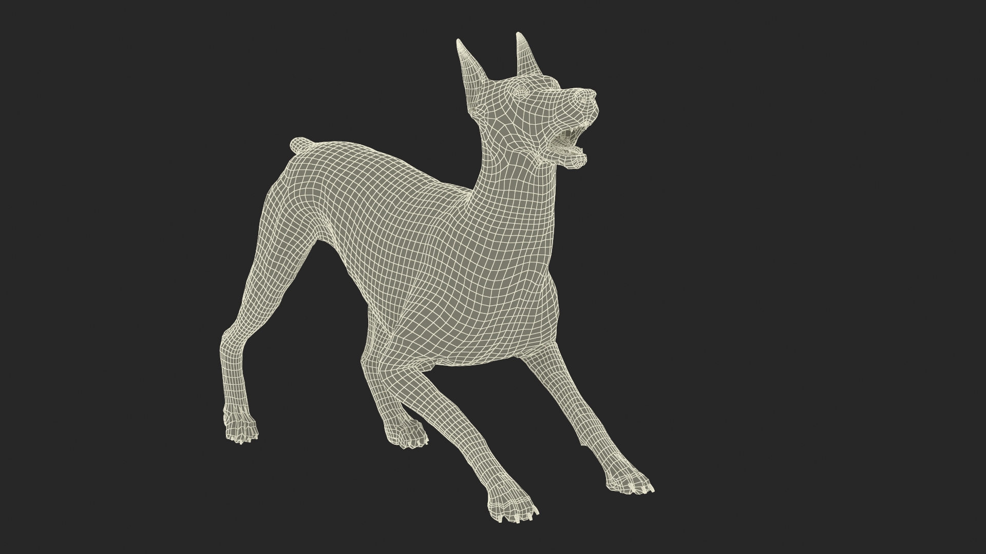 Doberman Pinscher Dog Rigged for Cinema 4D 3D