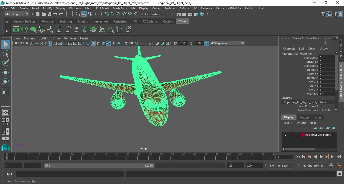Regional Jet Flight 3D model