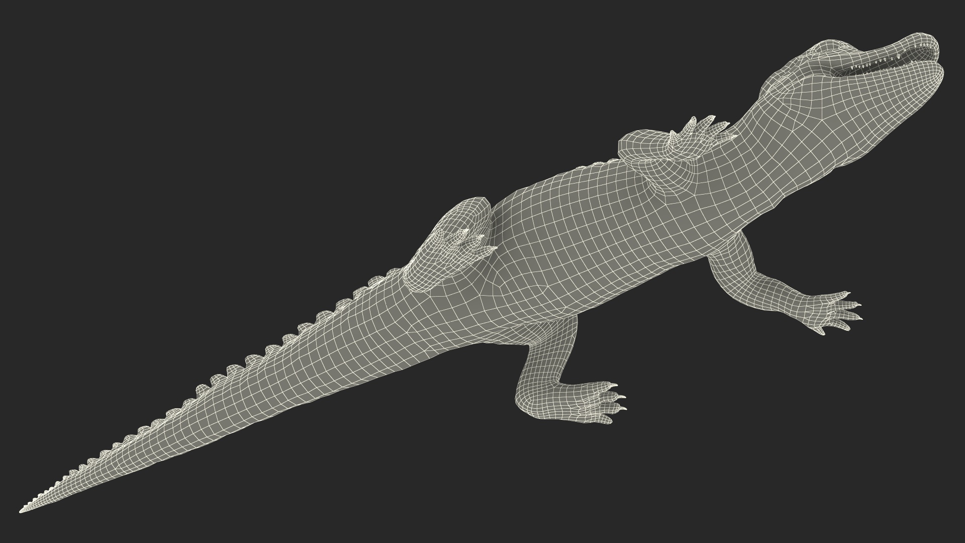 Black Caiman Baby 3D