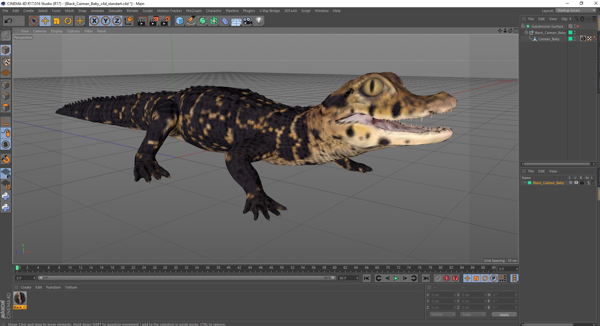Black Caiman Baby 3D