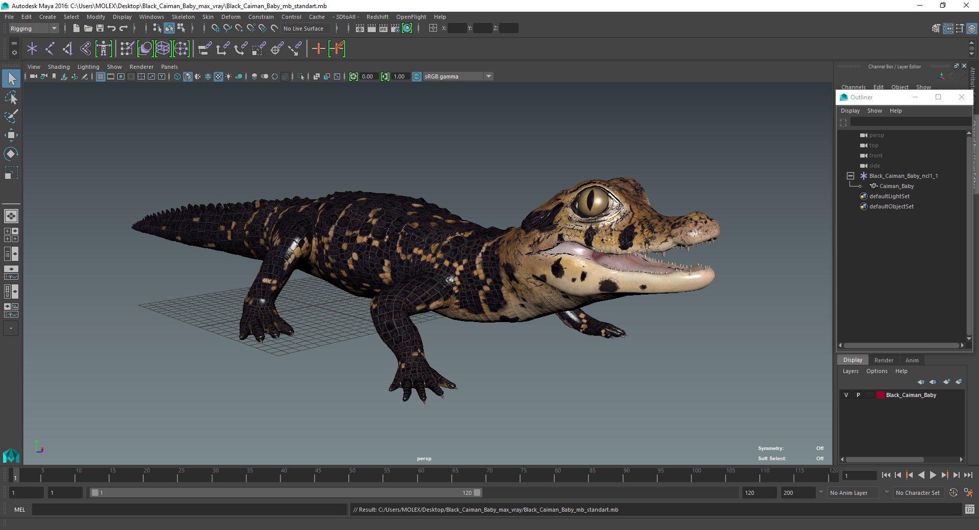 Black Caiman Baby 3D