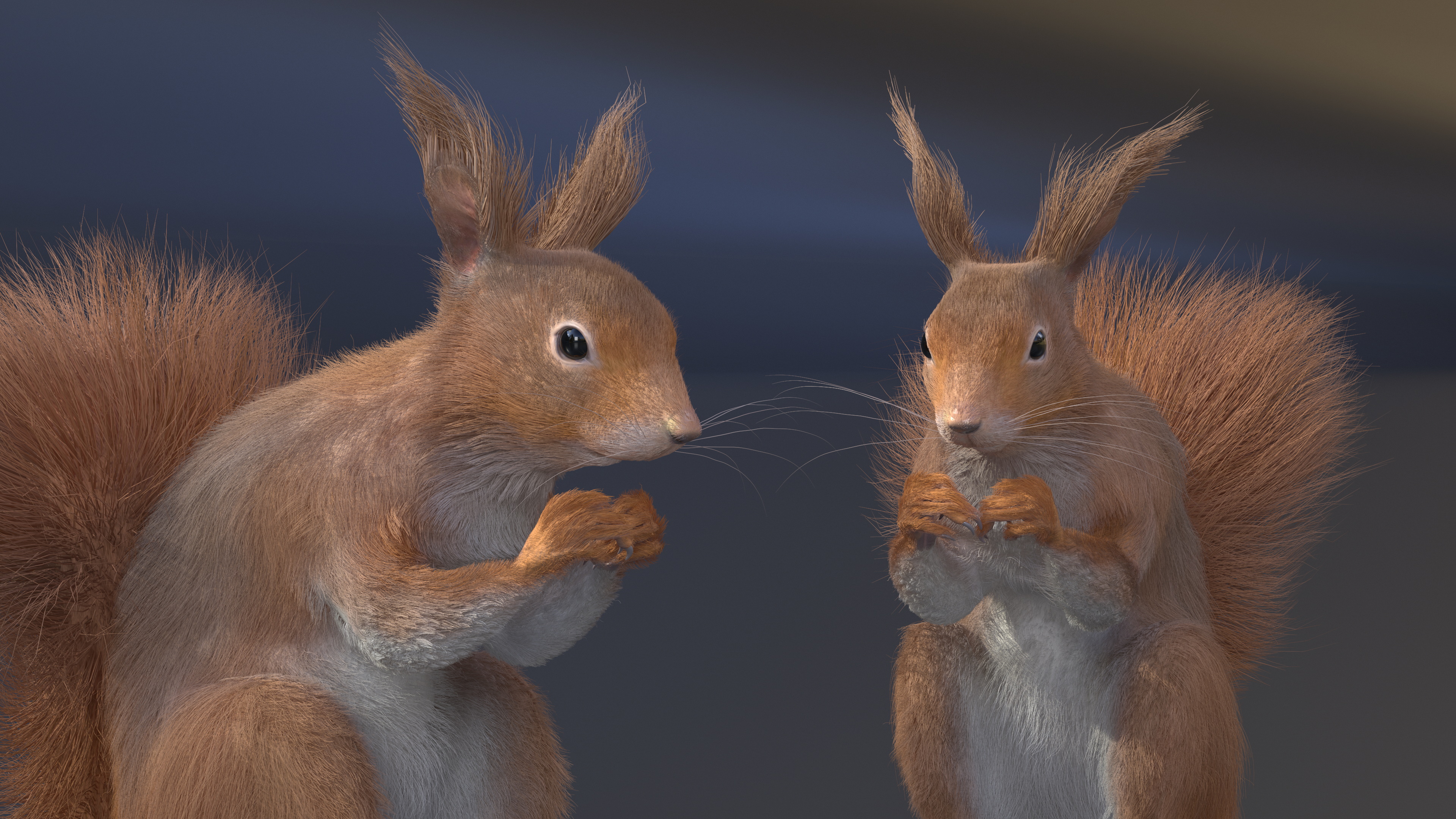 Red Squirrel in a Sitting Pose Fur 3D model