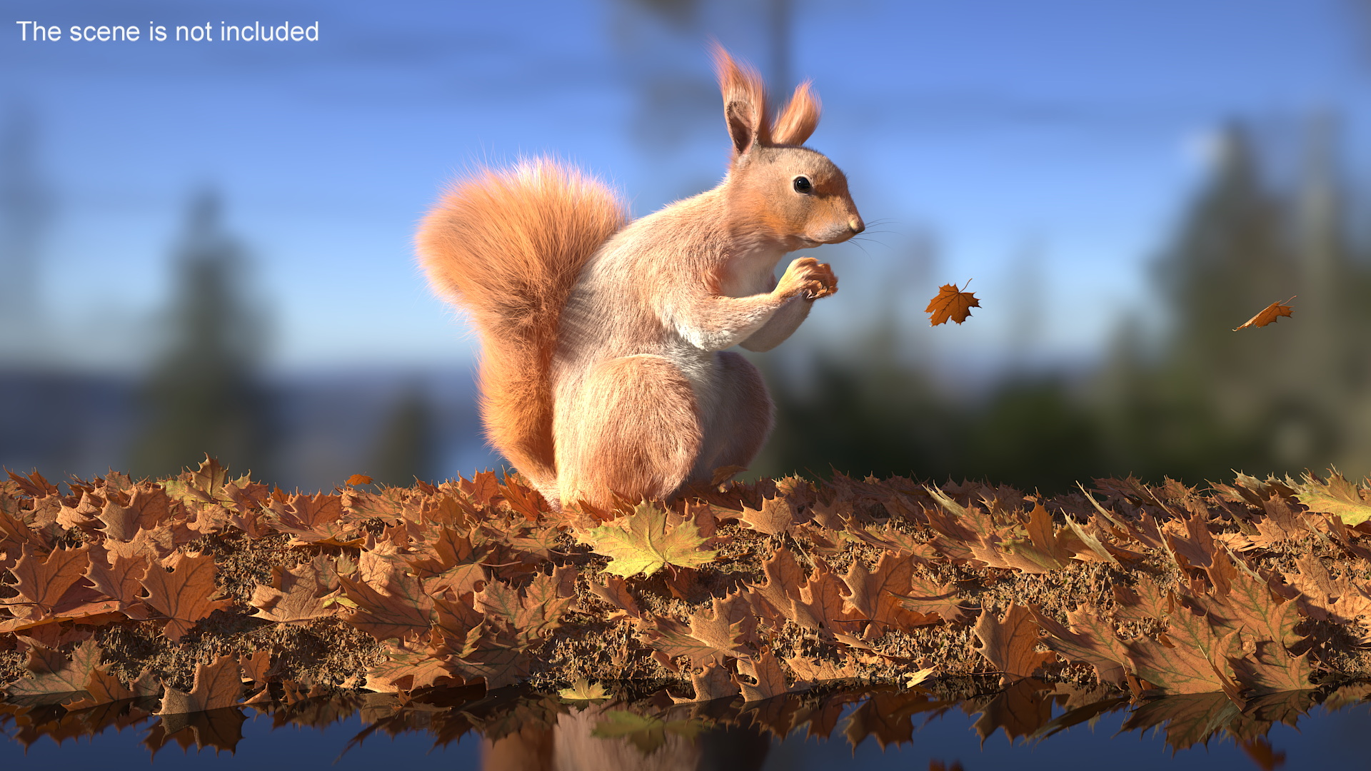 Red Squirrel in a Sitting Pose Fur 3D model
