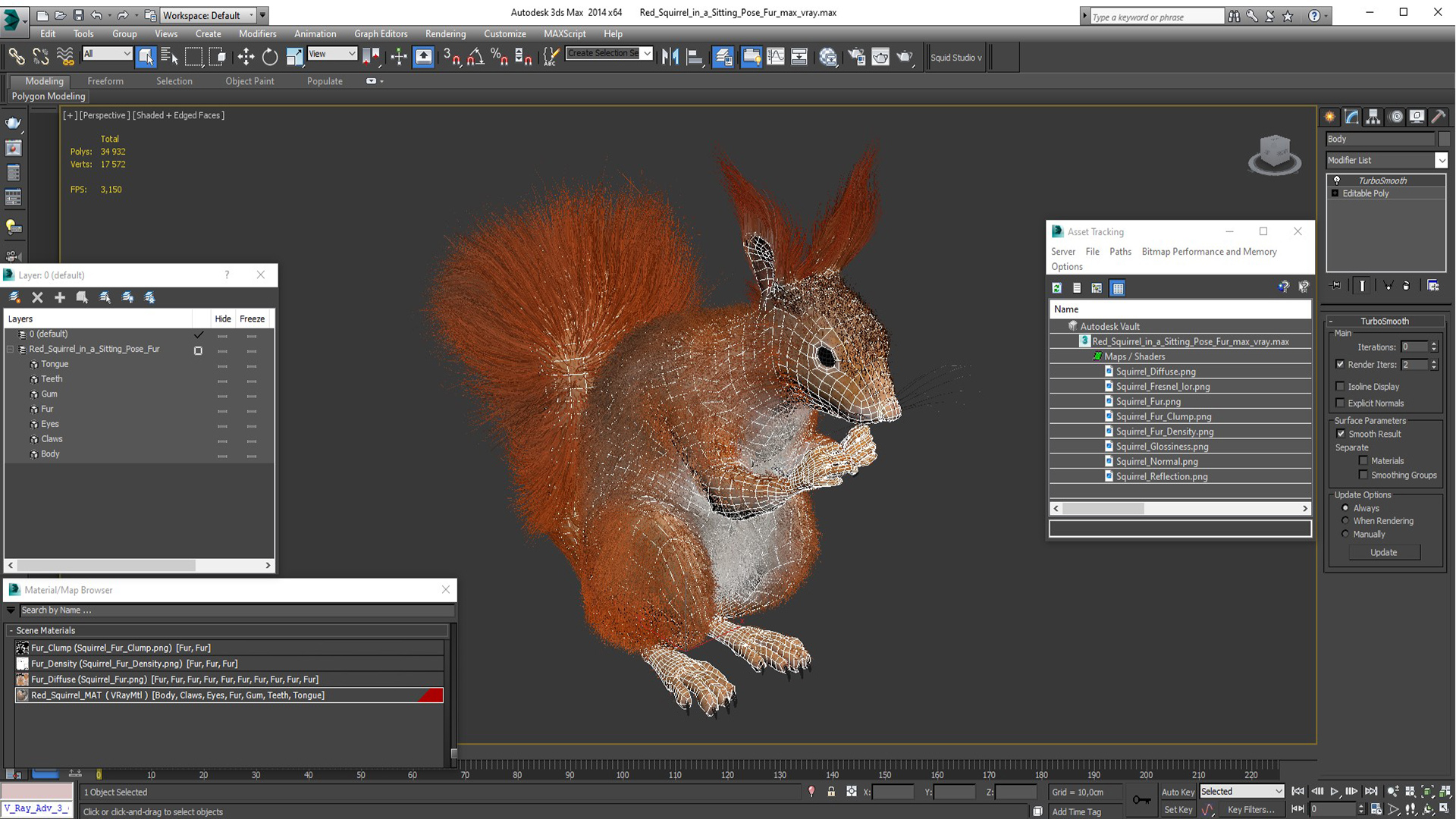 Red Squirrel in a Sitting Pose Fur 3D model