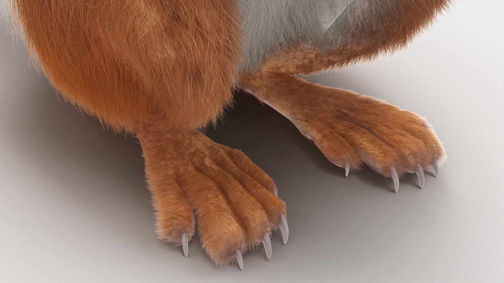 Red Squirrel in a Sitting Pose Fur 3D model