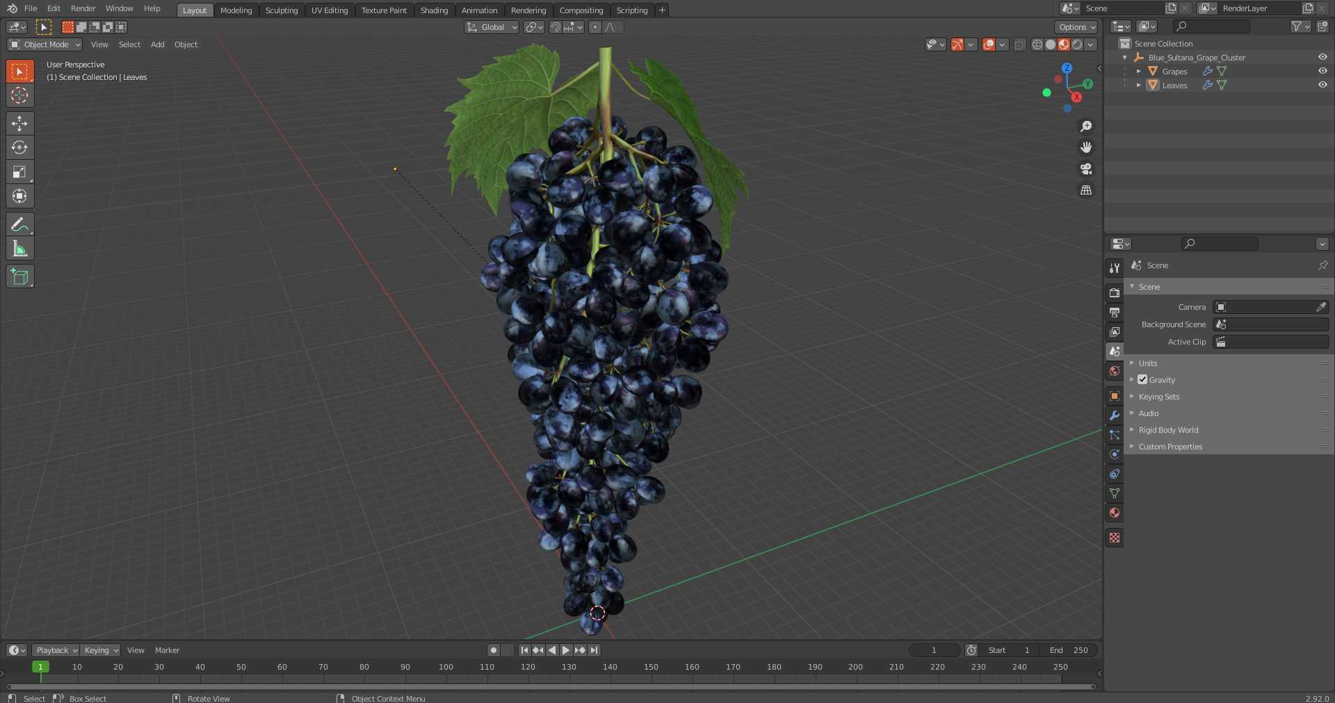 3D Blue Sultana Grape Cluster