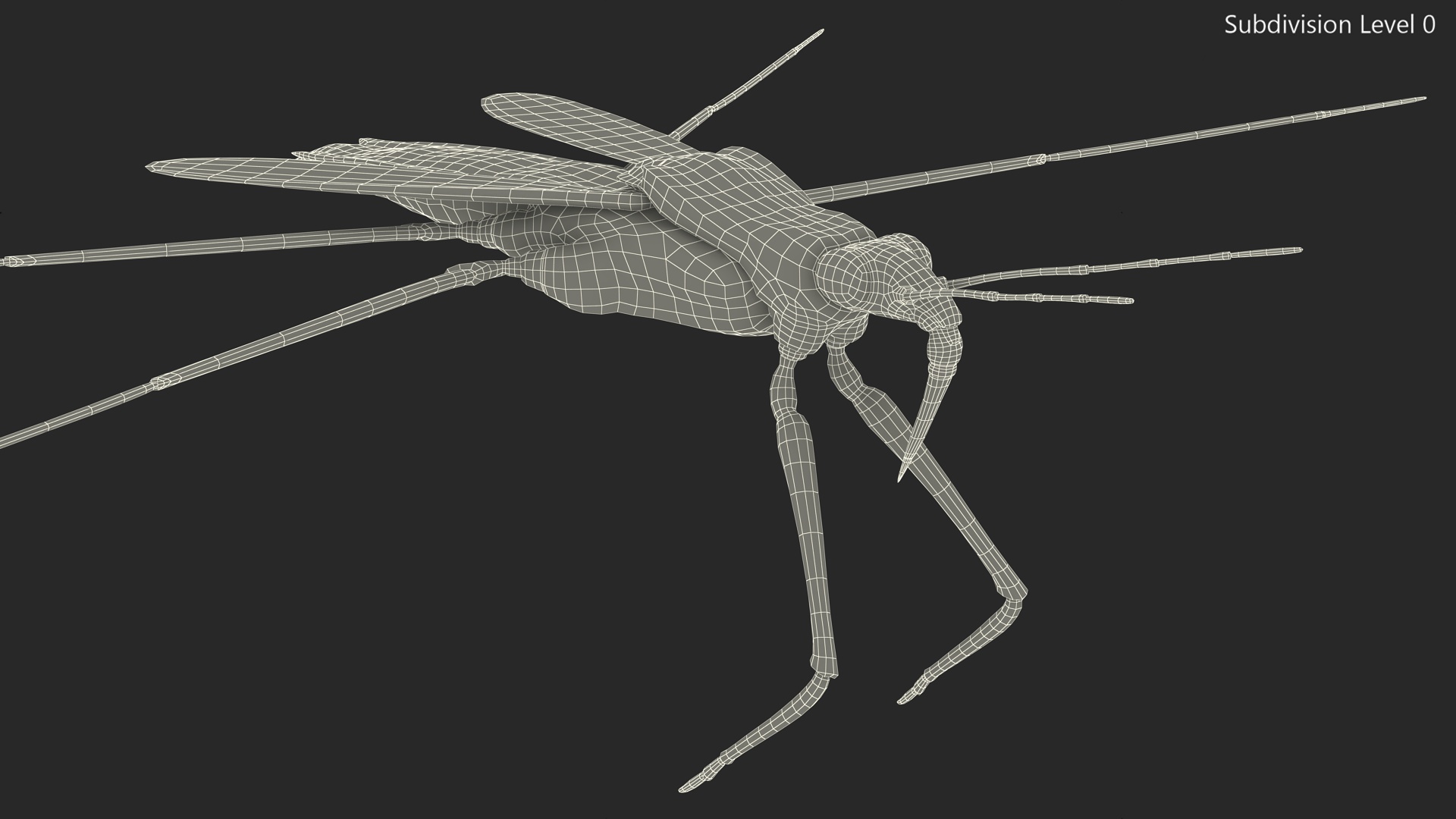 3D Water Strider model
