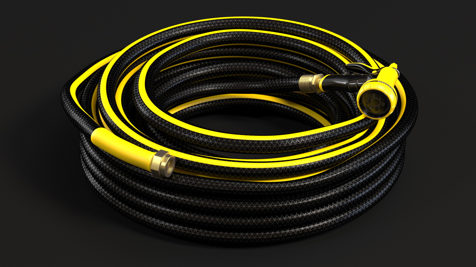3D Black Garden Hose and Trigger Nozzle