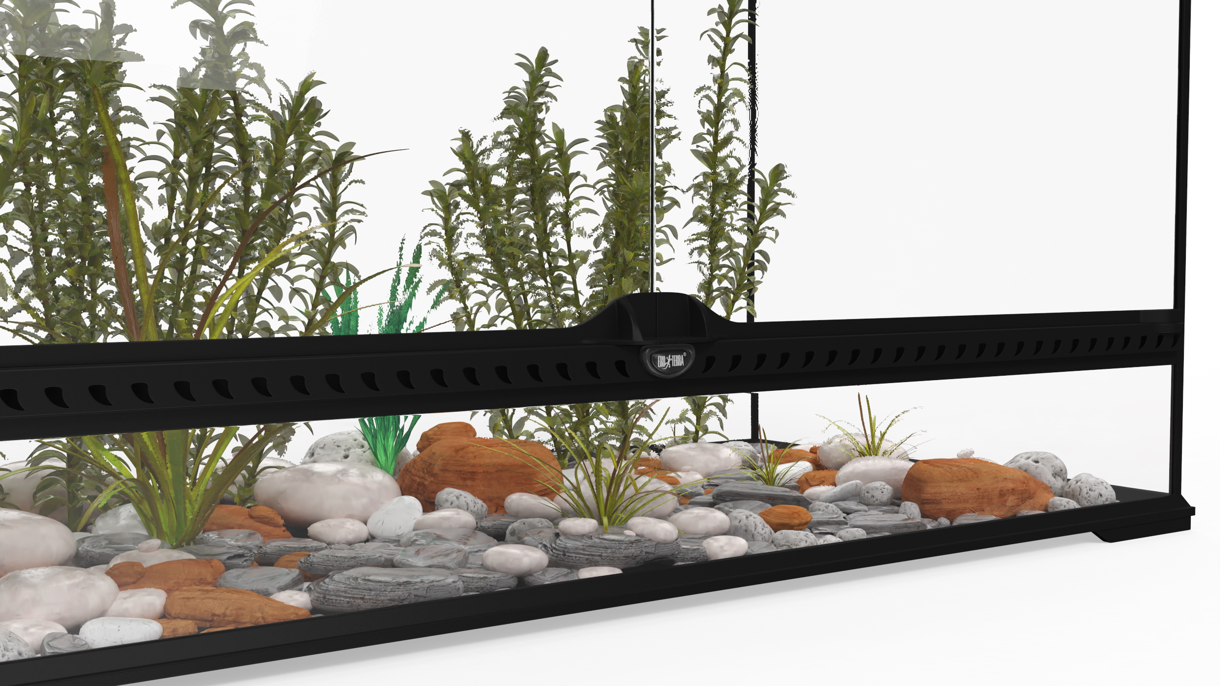 Large Terrarium with Plants Garden 3D model