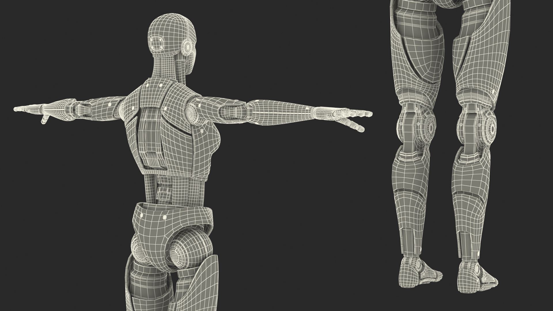 Cyborg Female TPose 3D model