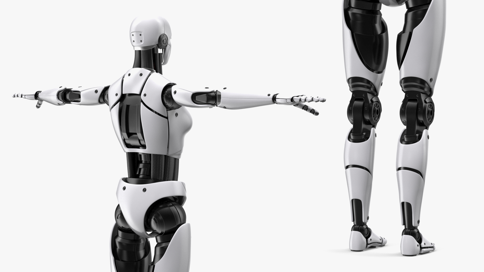 Cyborg Female TPose 3D model