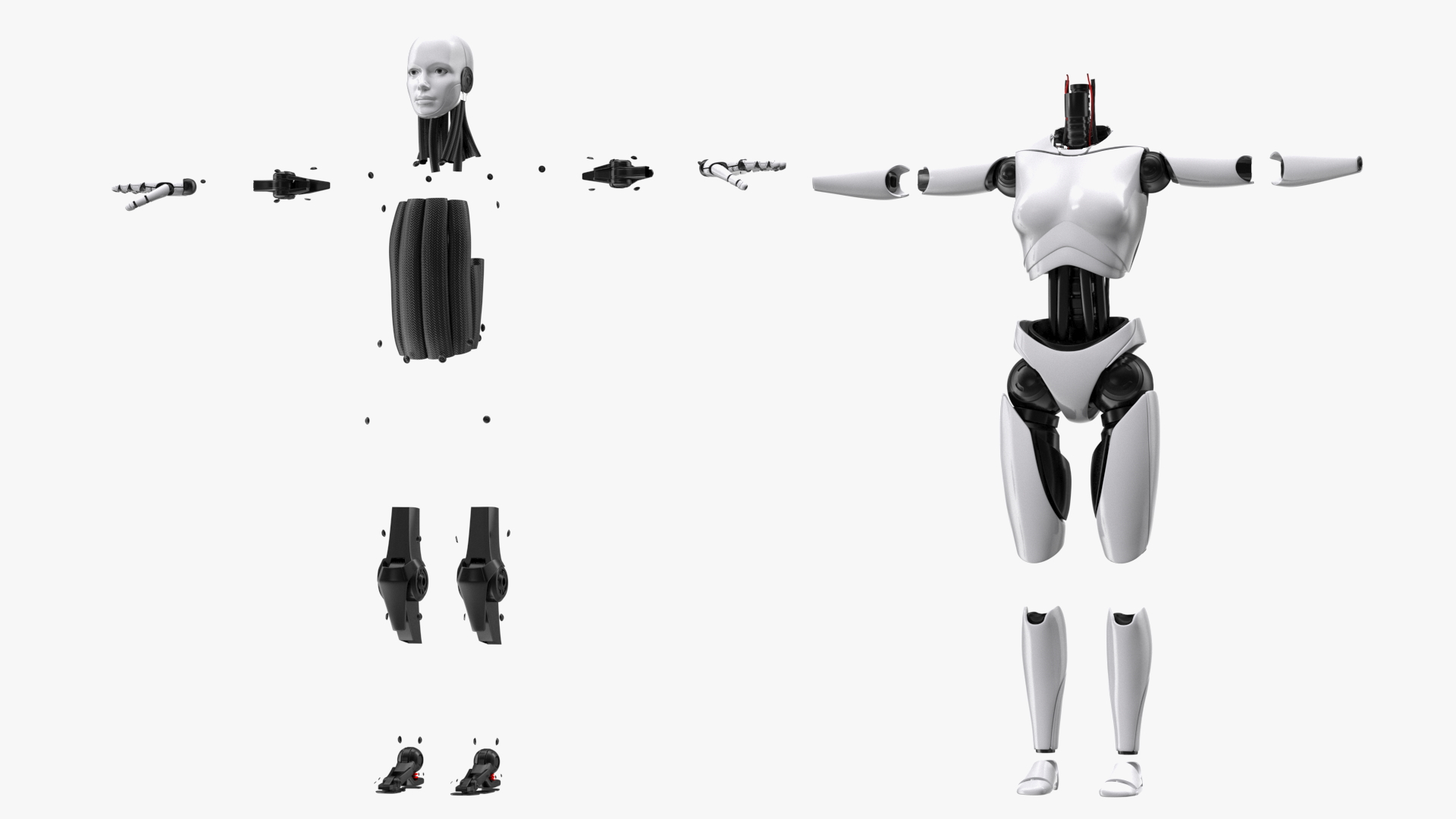 Cyborg Female TPose 3D model