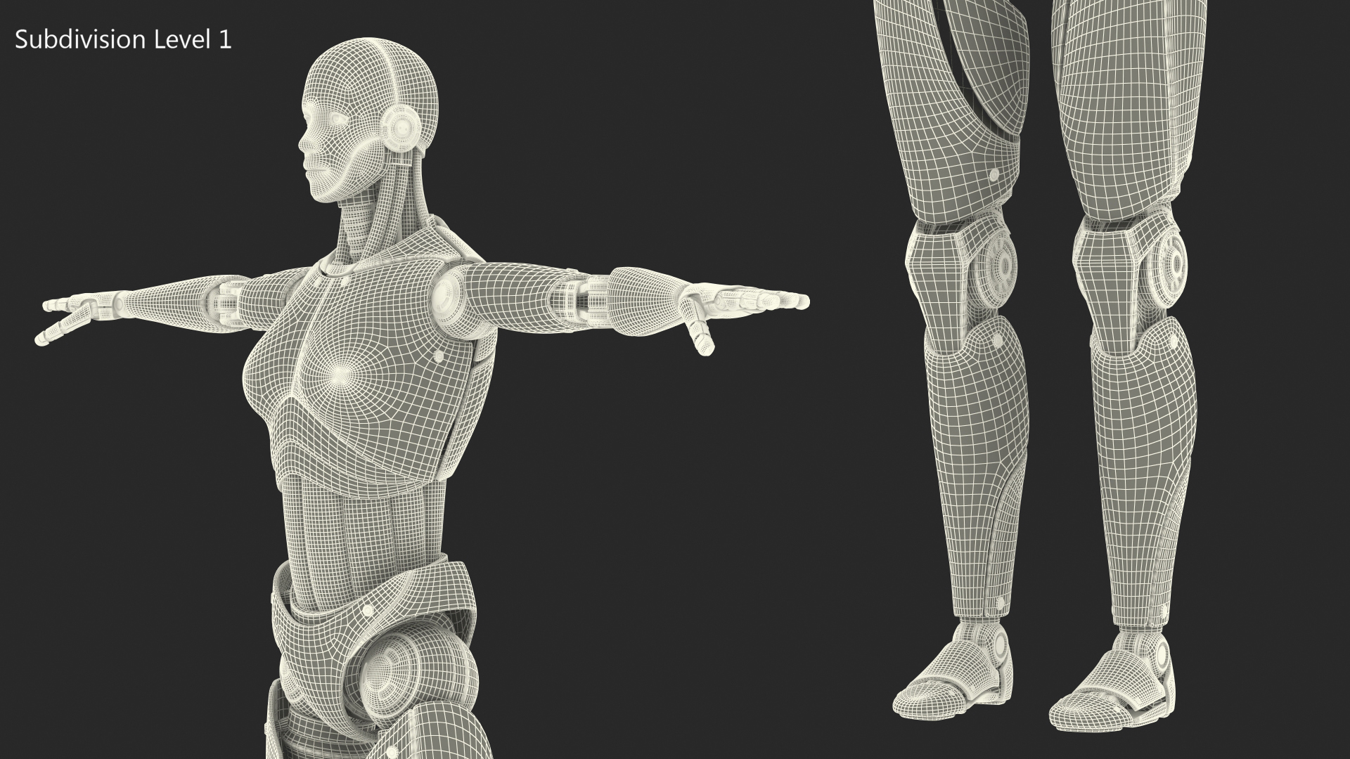 Cyborg Female TPose 3D model