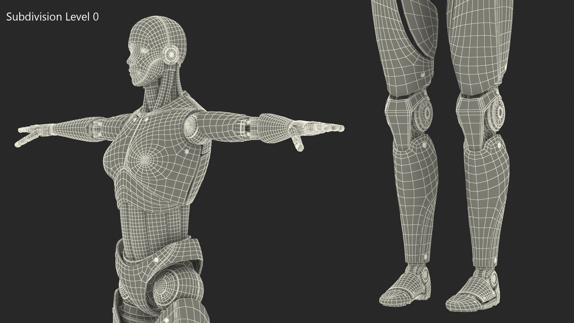 Cyborg Female TPose 3D model