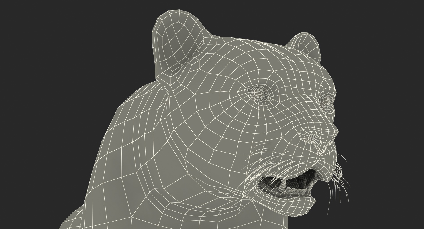 3D African Large Cat Cheetah Standing Pose with Fur model