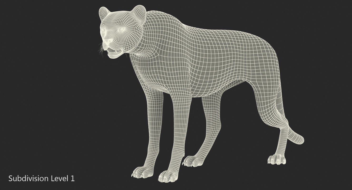 3D African Large Cat Cheetah Standing Pose with Fur model