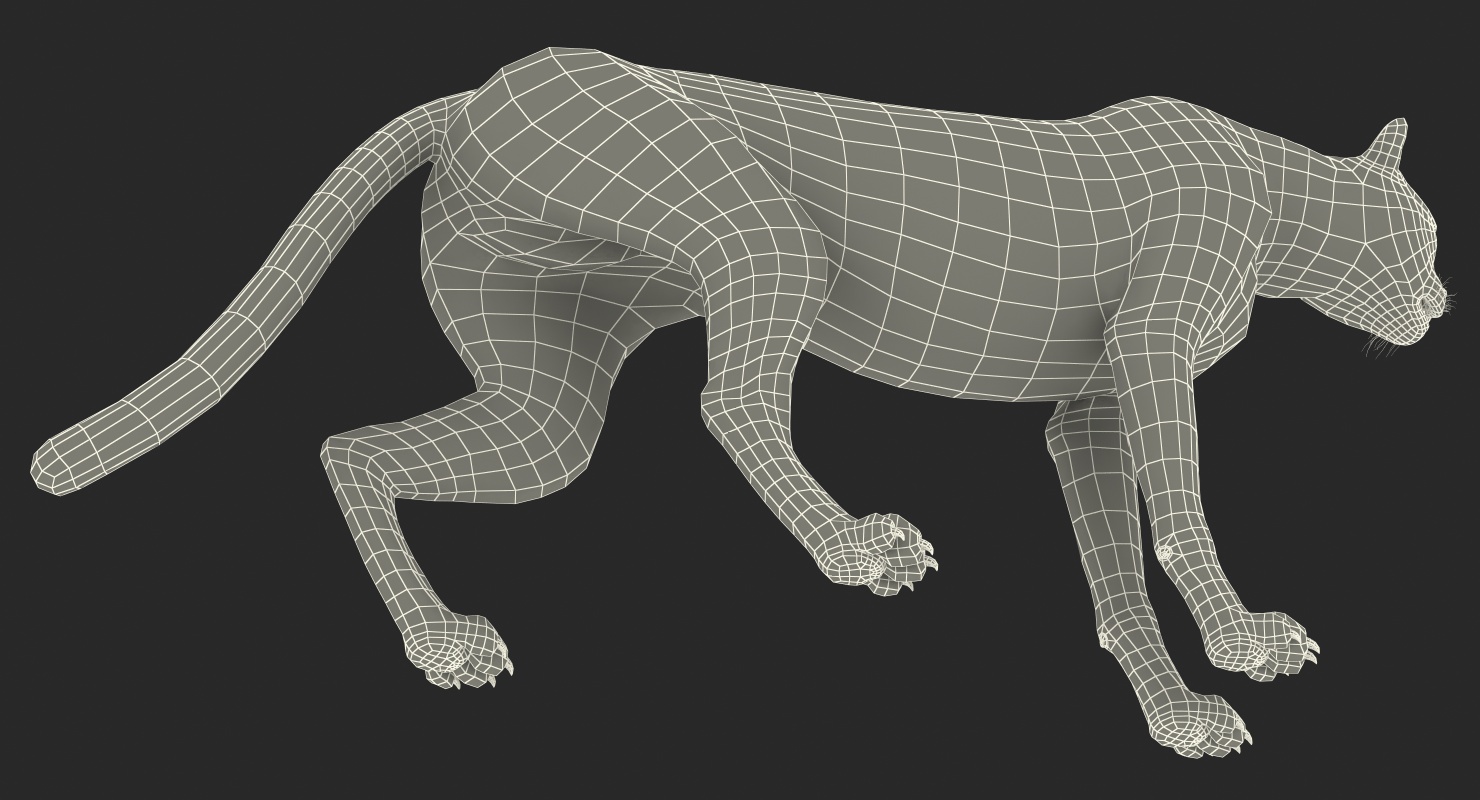 3D African Large Cat Cheetah Standing Pose with Fur model