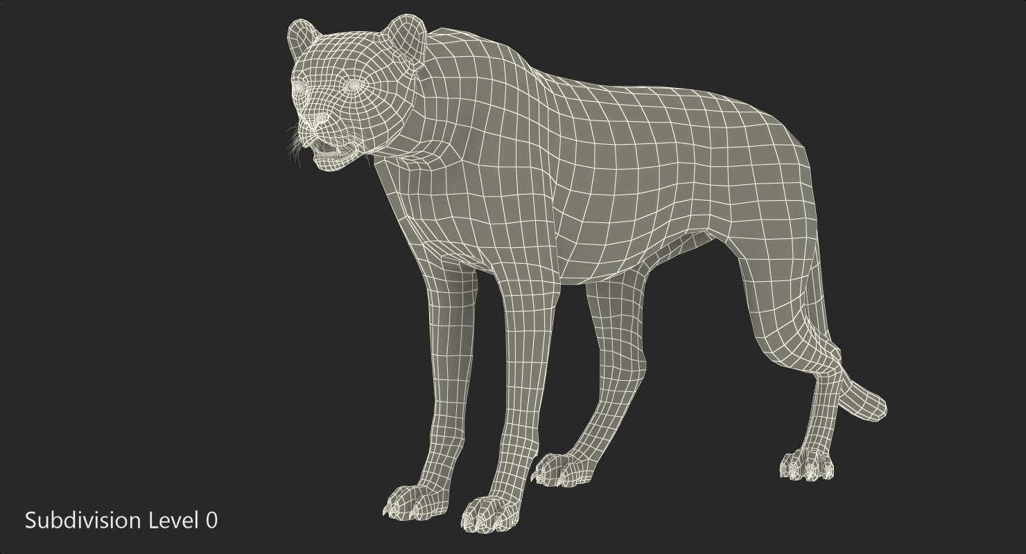 3D African Large Cat Cheetah Standing Pose with Fur model
