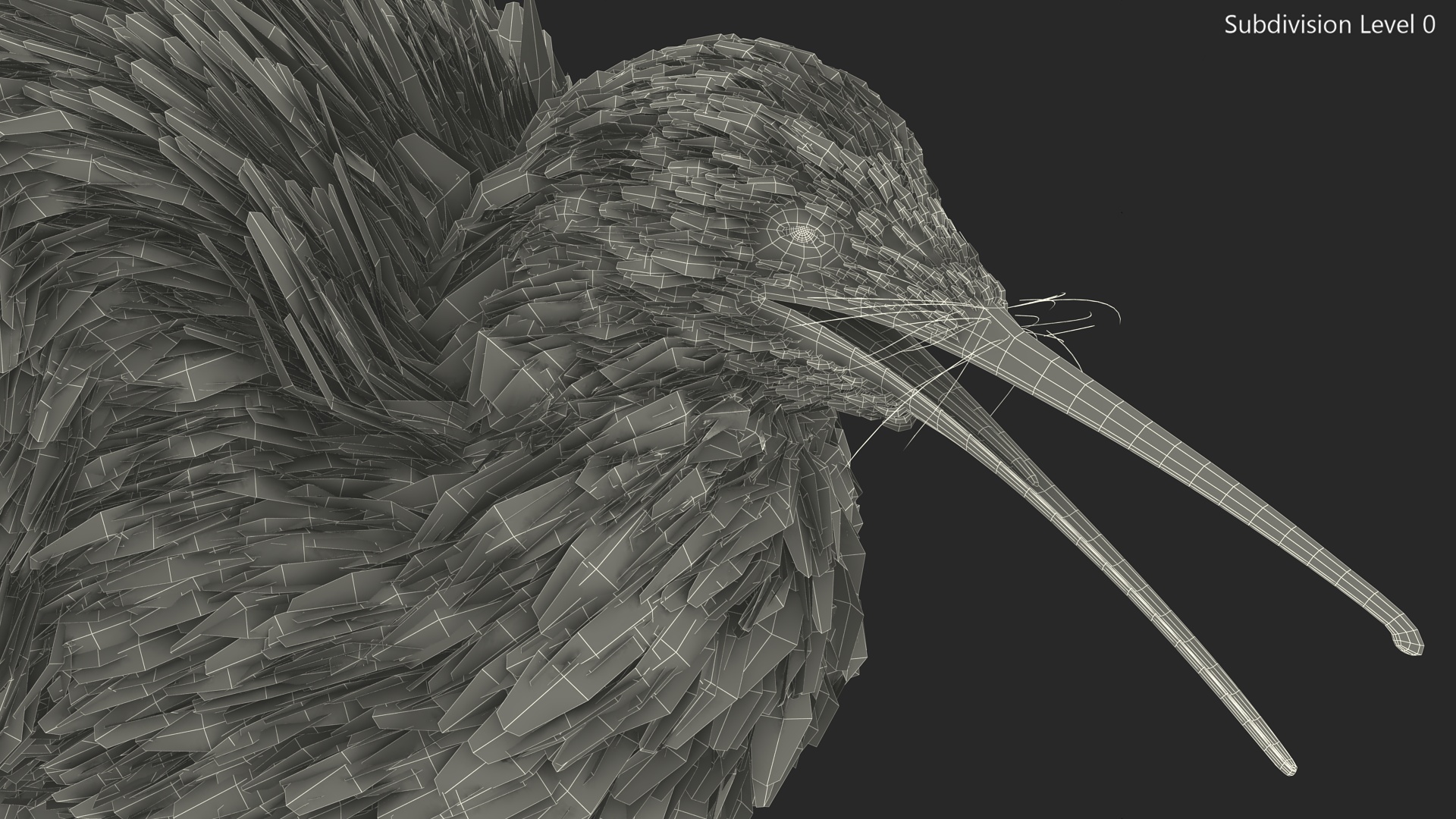 Kiwi Bird Walk Pose 3D model