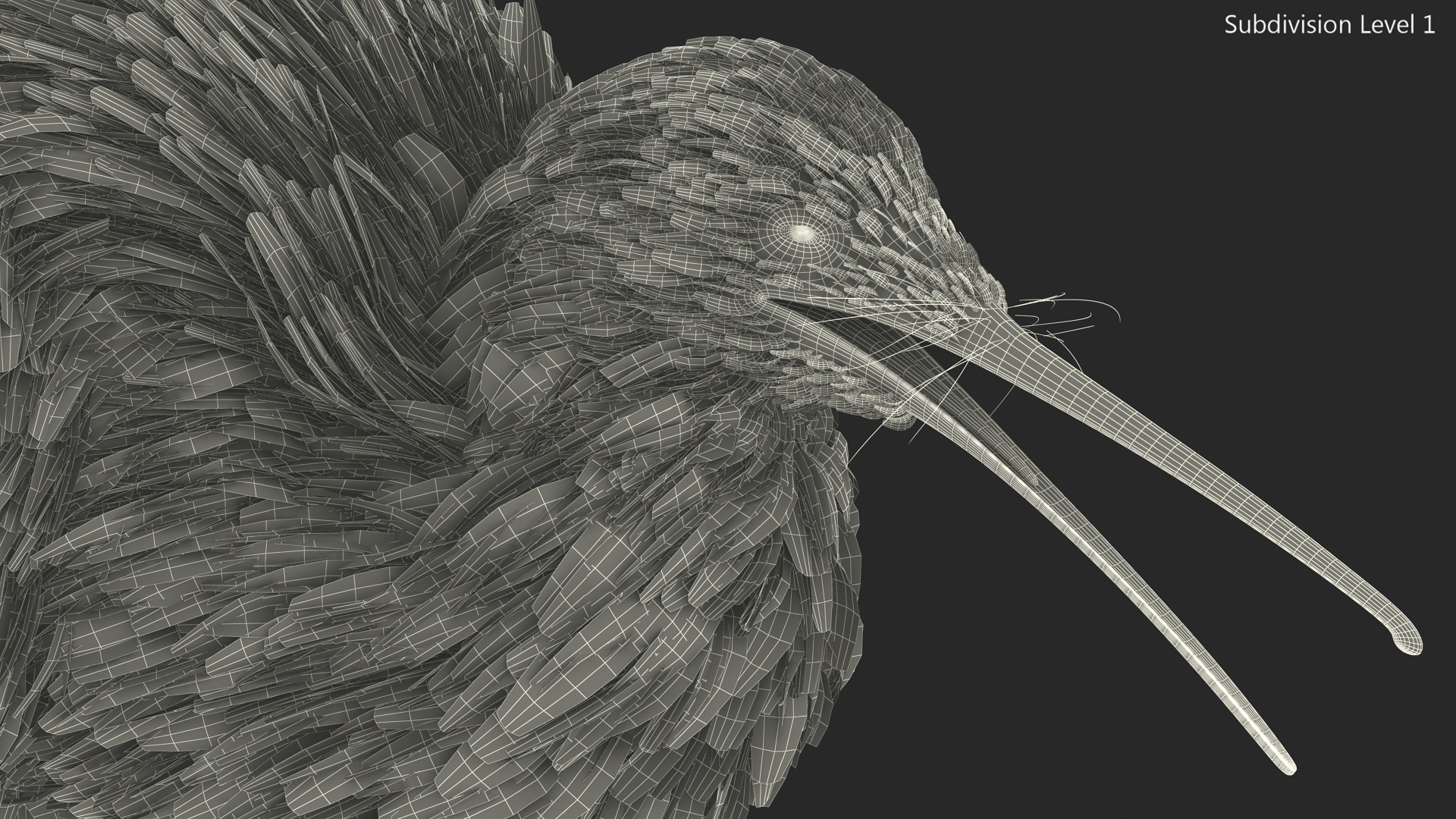 Kiwi Bird Walk Pose 3D model