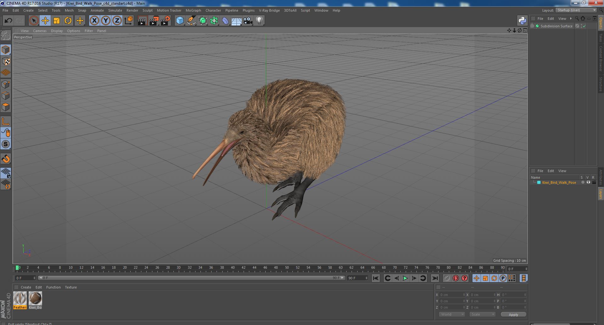 Kiwi Bird Walk Pose 3D model