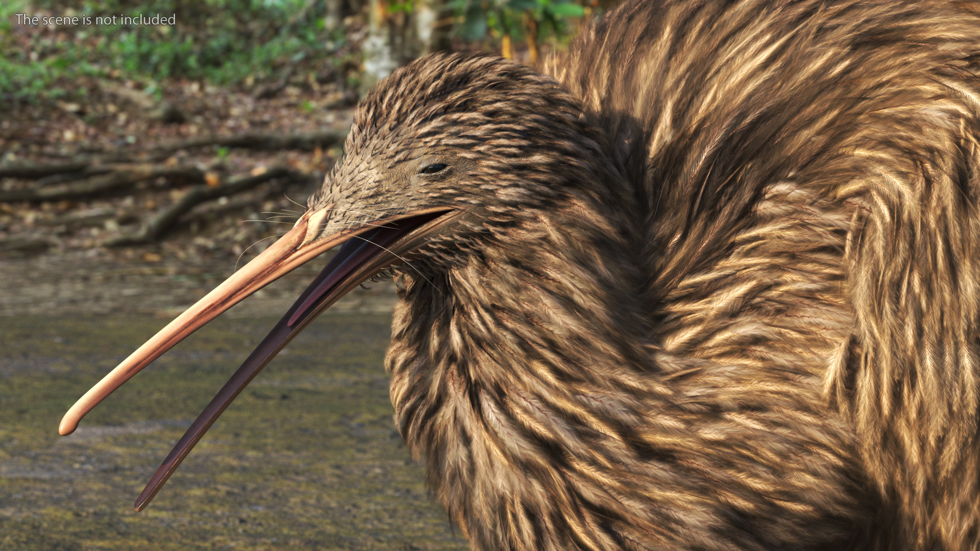 Kiwi Bird Walk Pose 3D model