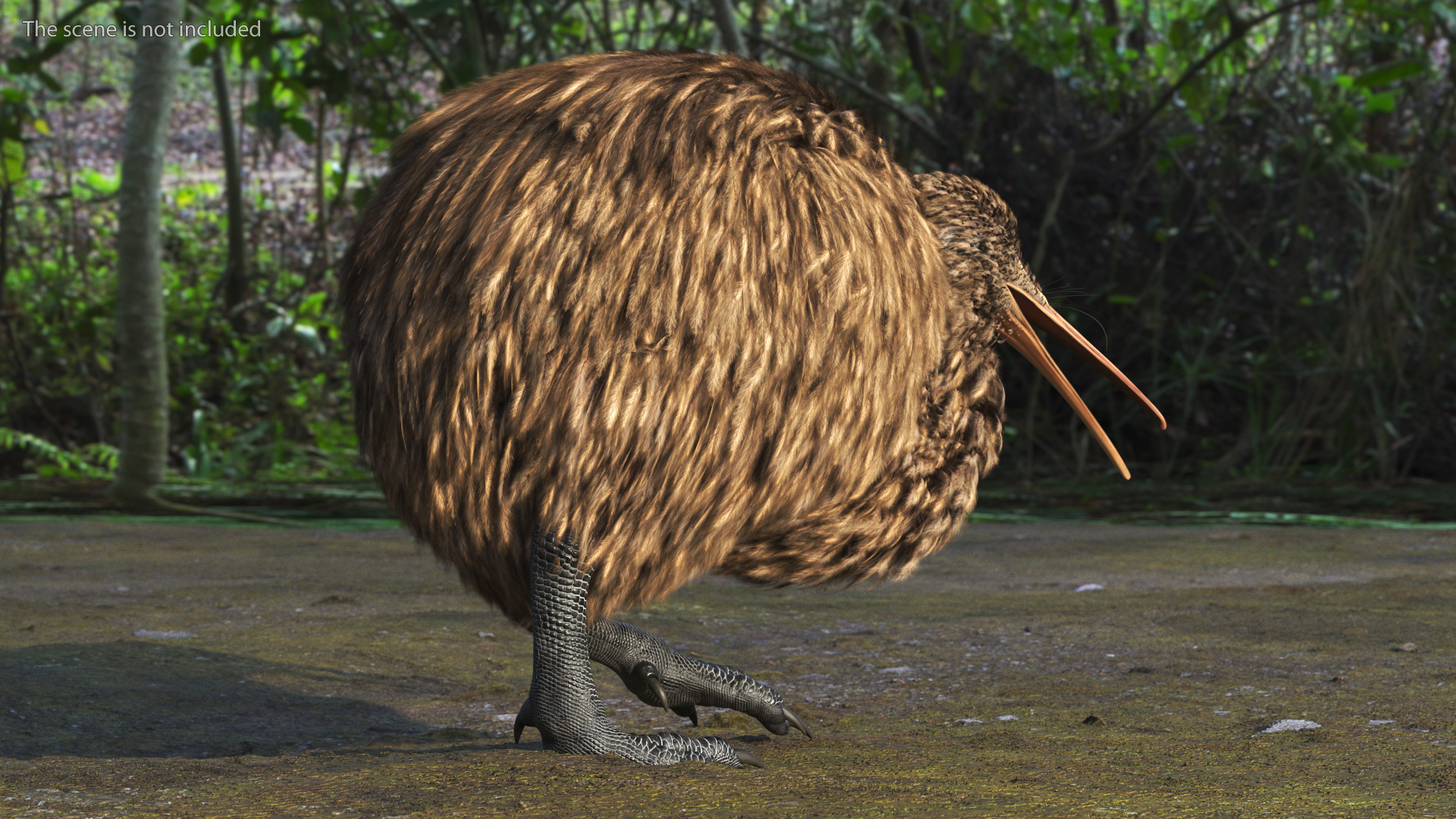 Kiwi Bird Walk Pose 3D model