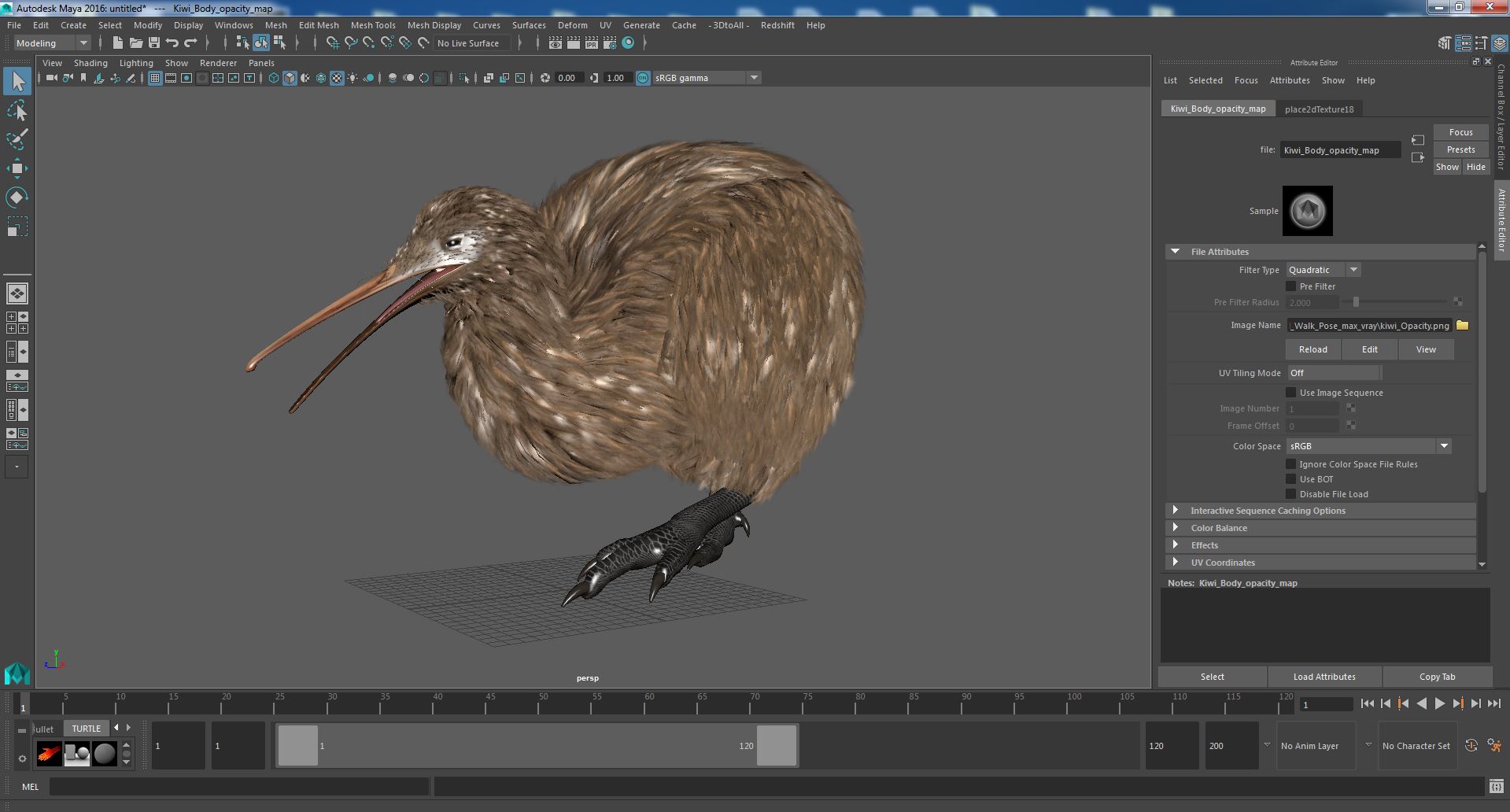 Kiwi Bird Walk Pose 3D model
