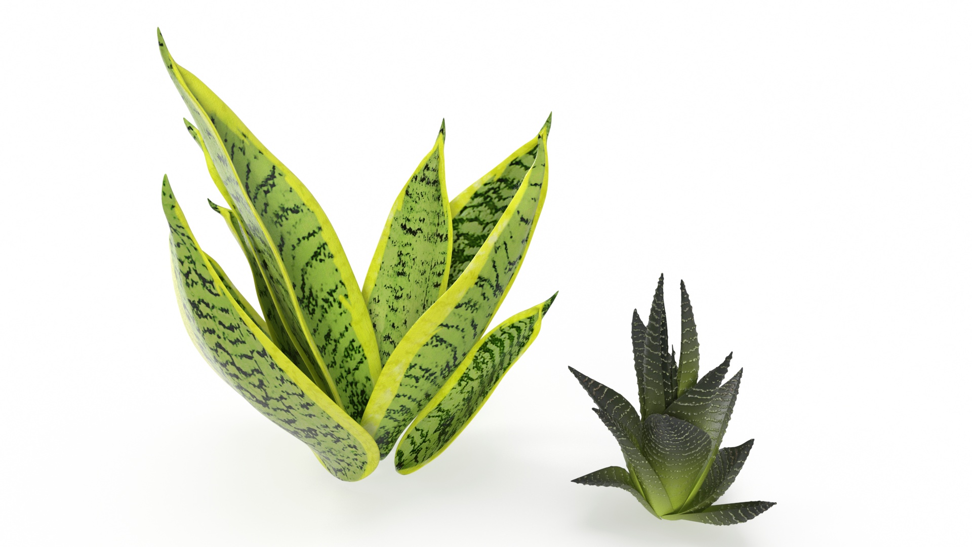 3D model Double Herb Pot Sagaform Green